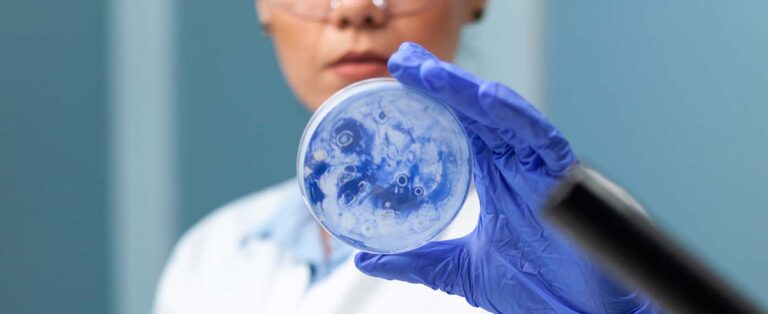 Stem Cells from Fat or Bone Marrow: How Each Collection Works