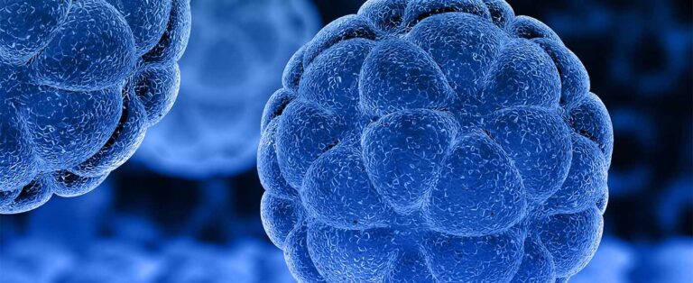 Autologous vs Allogeneic Stem Cells: Banking Your Own Cells